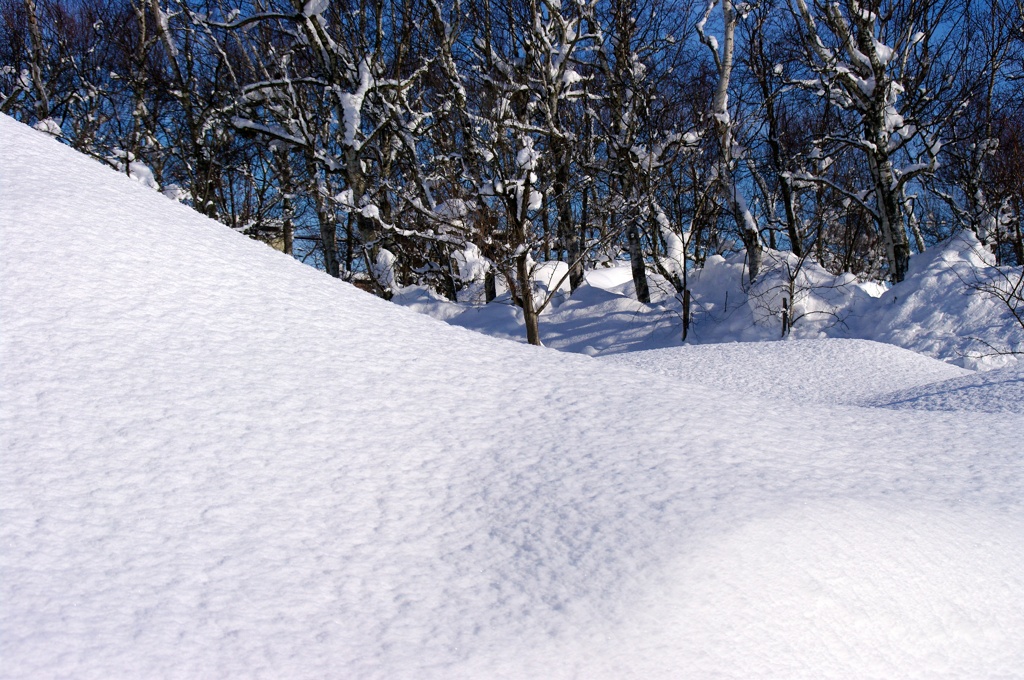 雪化粧8