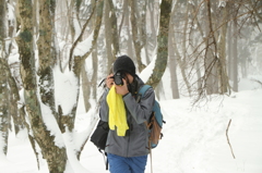 雪山のD～せつざんのでぃ～