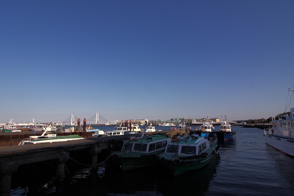 大桟橋０８