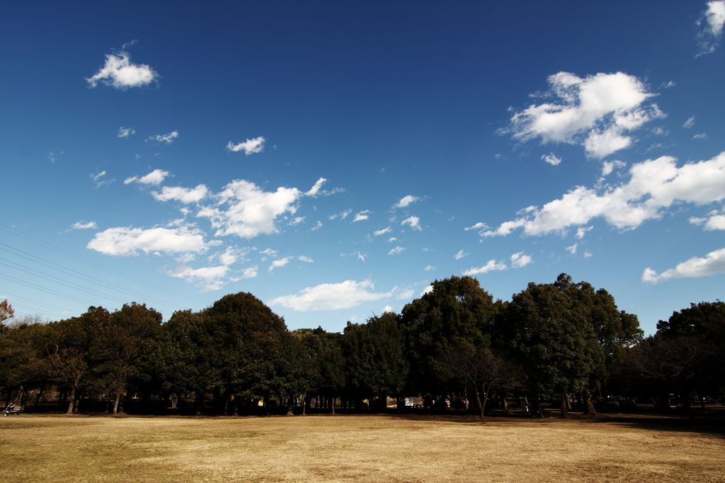 冬の公園