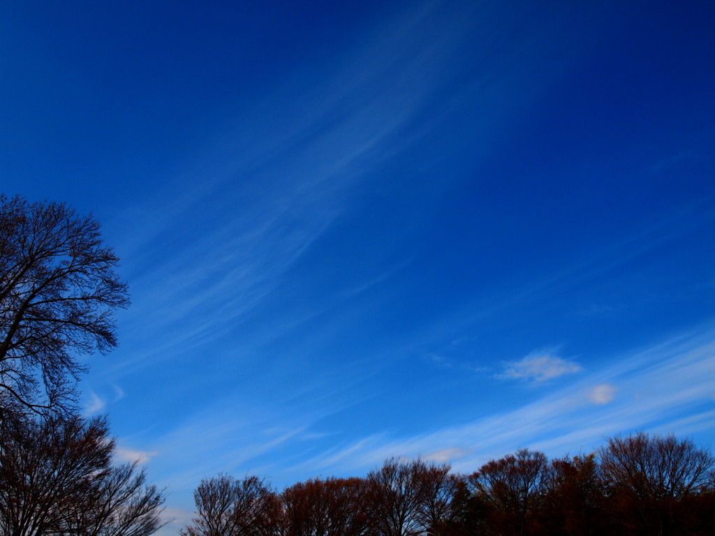 冬空