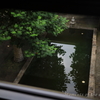 窓にフレーミングされた池 CANON RF35mm F1.8