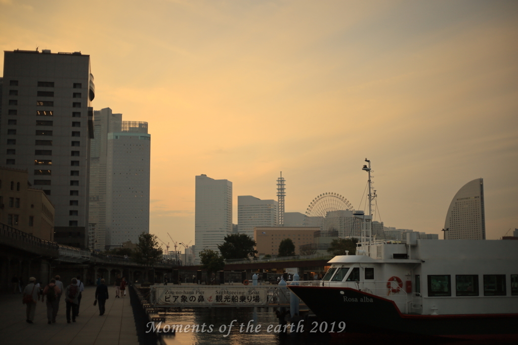 オレンジ空の横浜 EOS RP EF50mmF1.8
