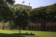 大学の芝生 オーストラリアの風景写真