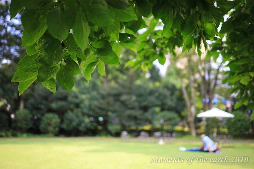 東京都庭園美術館 夏の思い出