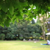 東京都庭園美術館 夏の思い出