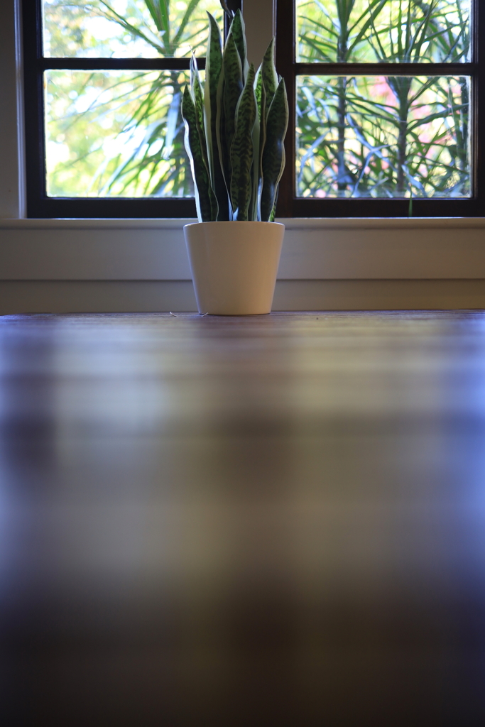 コテージの植物 オーストラリアの風景写真