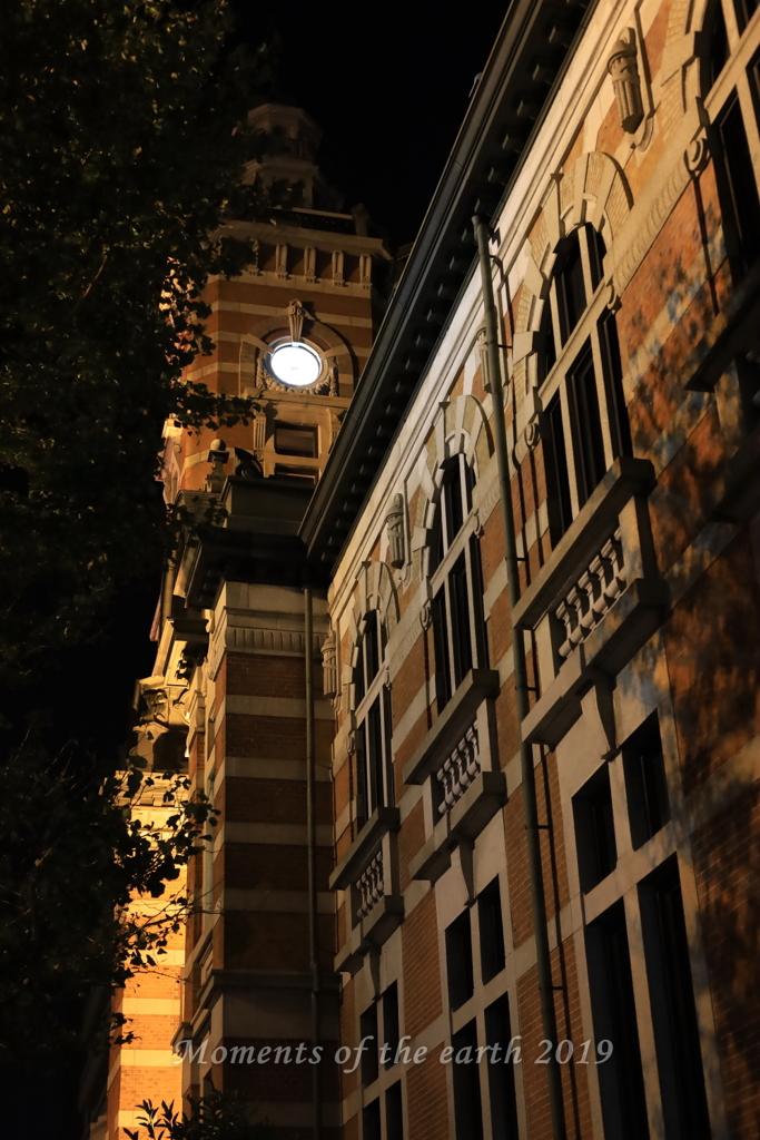横浜の夜 EOS RP EF50mmF1.8