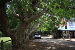 木陰の車 オーストラリアの風景写真