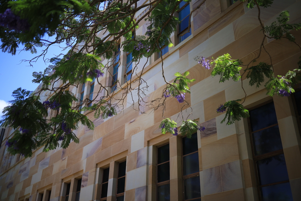 大学で咲く花 オーストラリアの風景写真