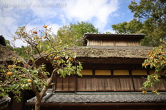 柿の木がある古民家 EOSRP EF35㎜F1.4L