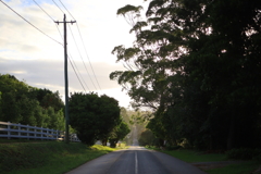 ブリスベン郊外の朝 オーストラリアの風景写真