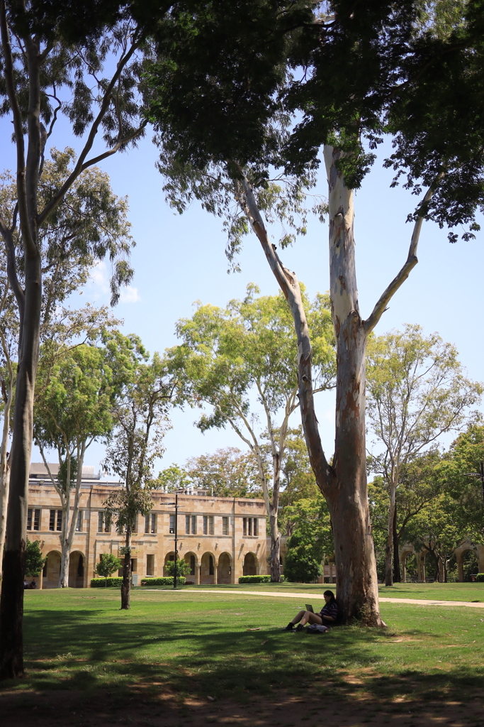 ブリスベンの大学 オーストラリアの風景写真