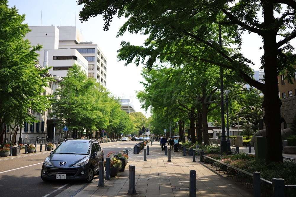 日本大通りの風景