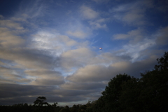 気球が飛ぶMason Winesの朝 オーストラリアの風景写真