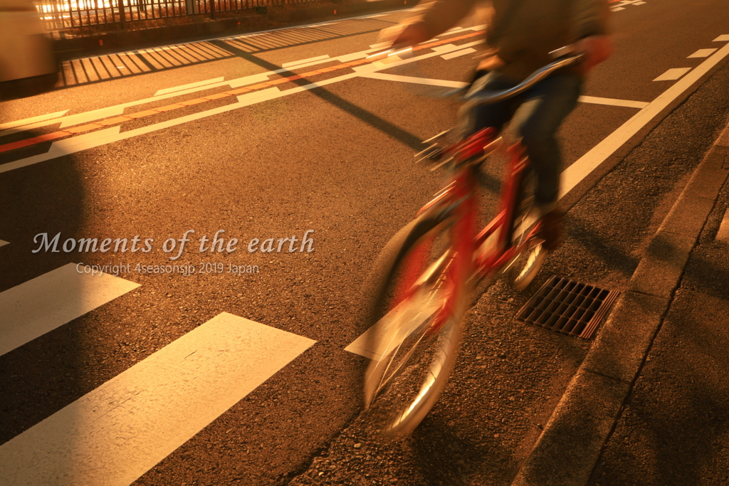 海辺を走る自転車 湘南の風景写真 EOS RP RF35mmF1.8