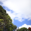 夏空 オーストラリアの風景写真