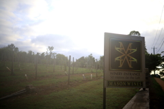 Mason Winesの朝 オーストラリアの風景写真