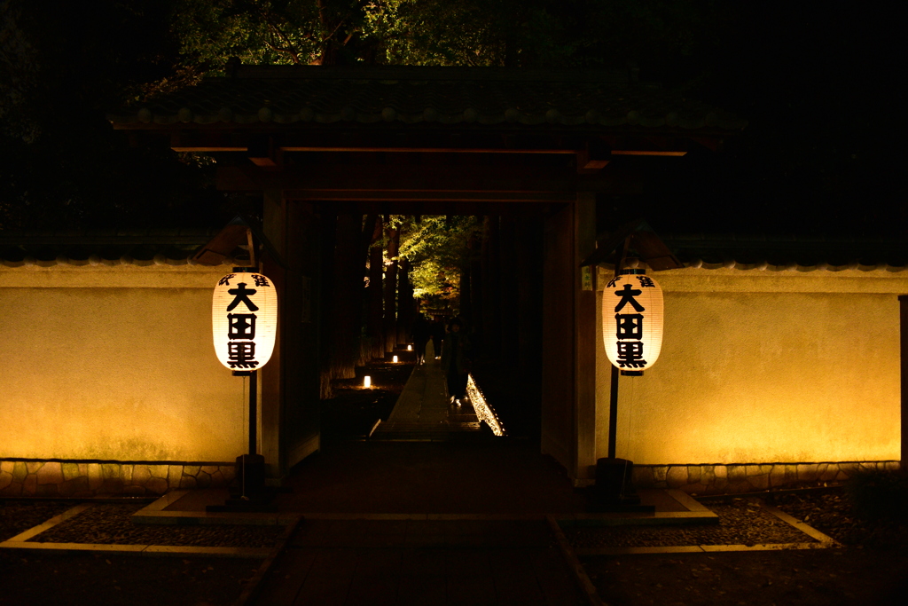 太田黒公園7
