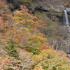 戦場ヶ原・紅葉4