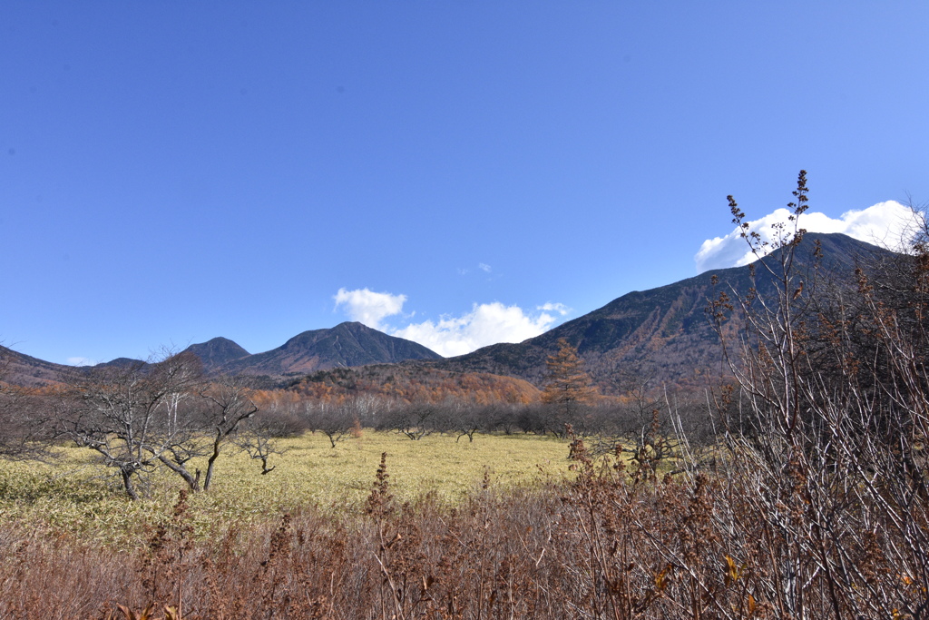 戦場ヶ原・紅葉3
