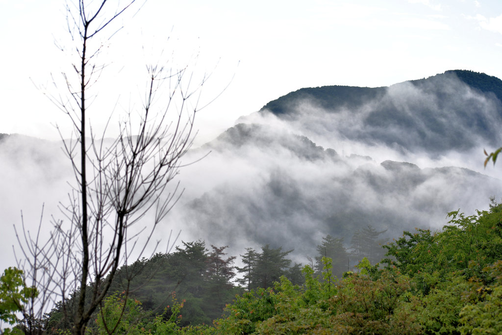 雲湧き経つ5