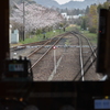 車窓の桜