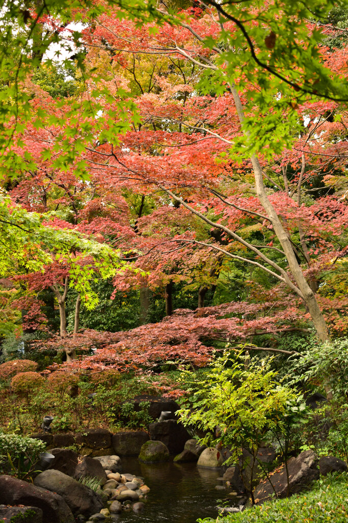 太田黒公園3