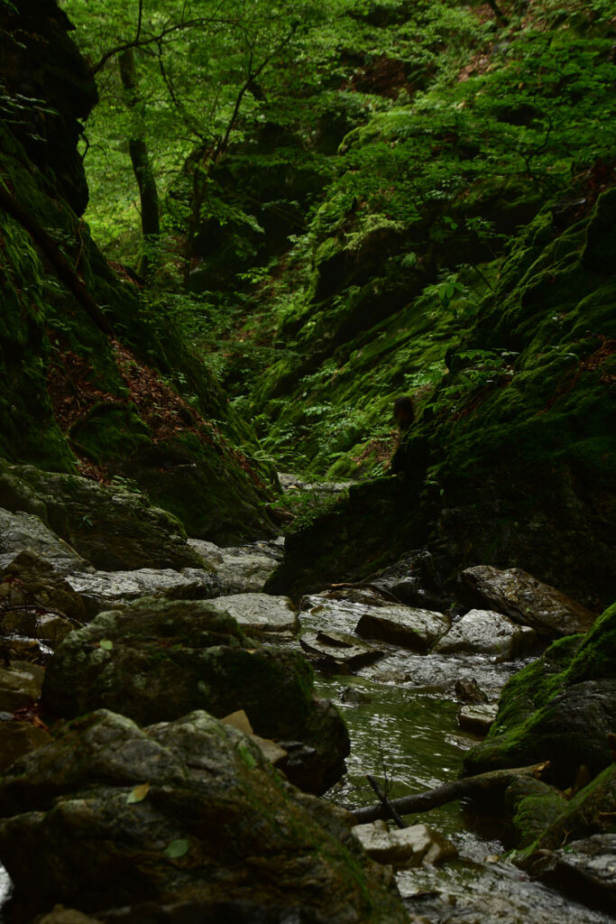 御岳山　ロックガーデン