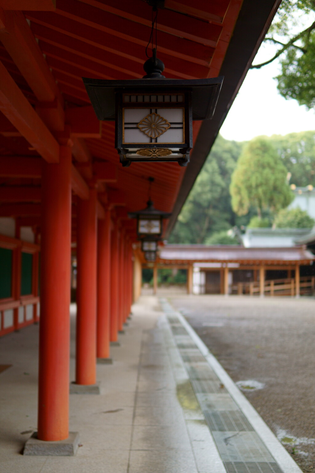 武蔵一宮 氷川神社③