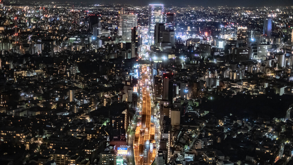 東京の夜景は綺麗だった