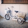 平城宮跡のトイレ横