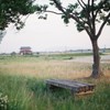 やっぱり傾く