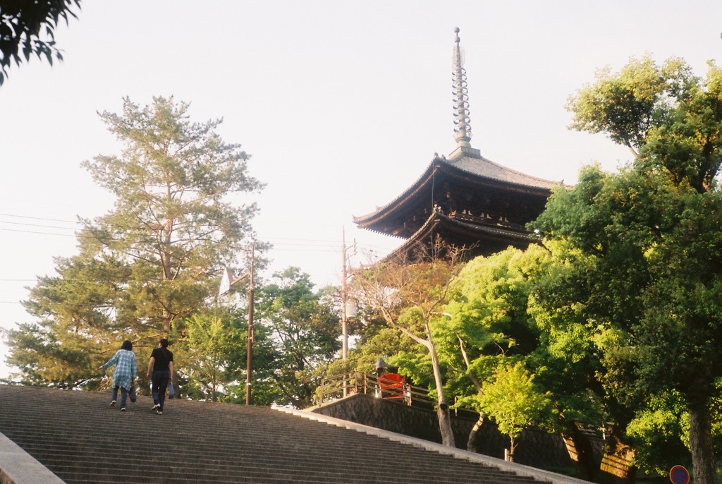 五重の塔を遠目から