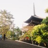 五重の塔を遠目から