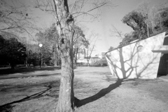 「冬公園」 (film)