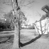 「冬公園」 (film)
