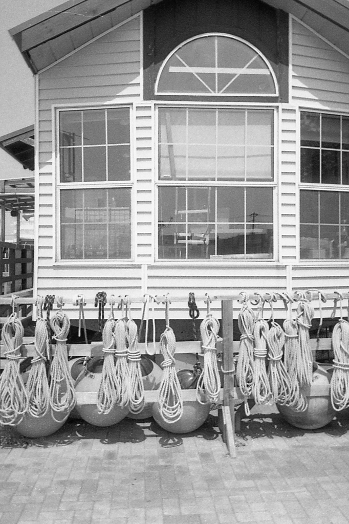 「ropes」 (film)