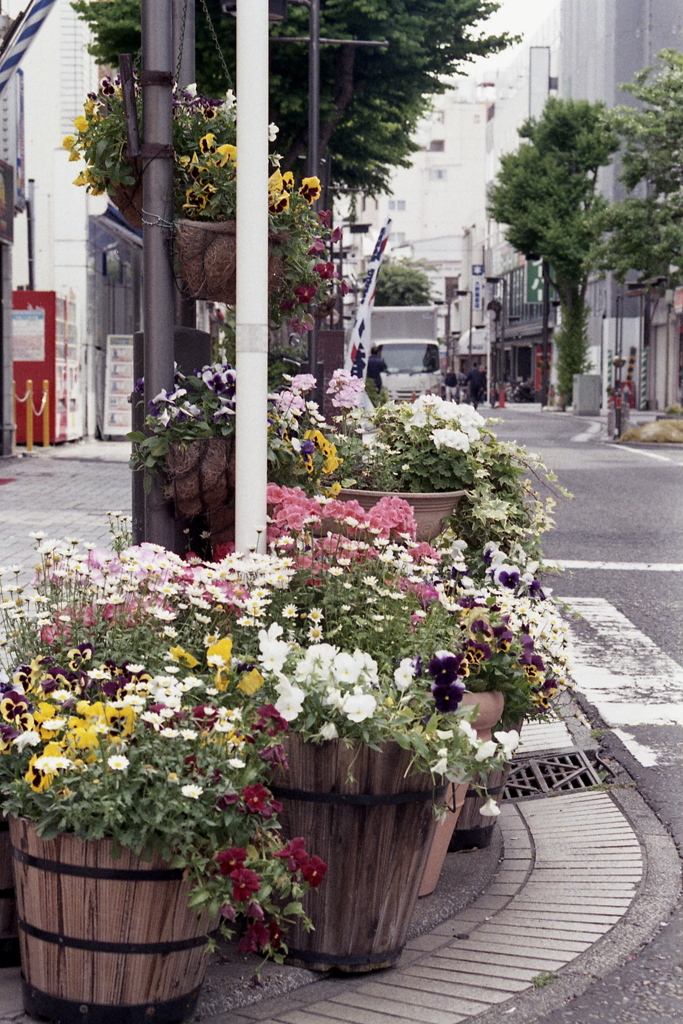 「街角flower」 (Film)