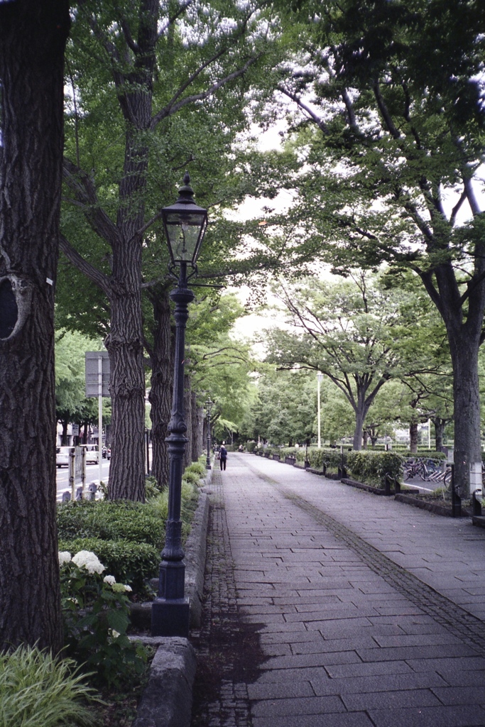 「color」 (film)