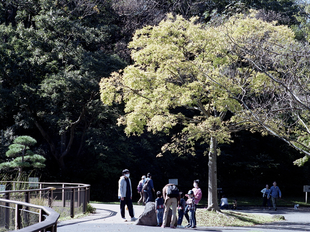 「Sunday」 (film)