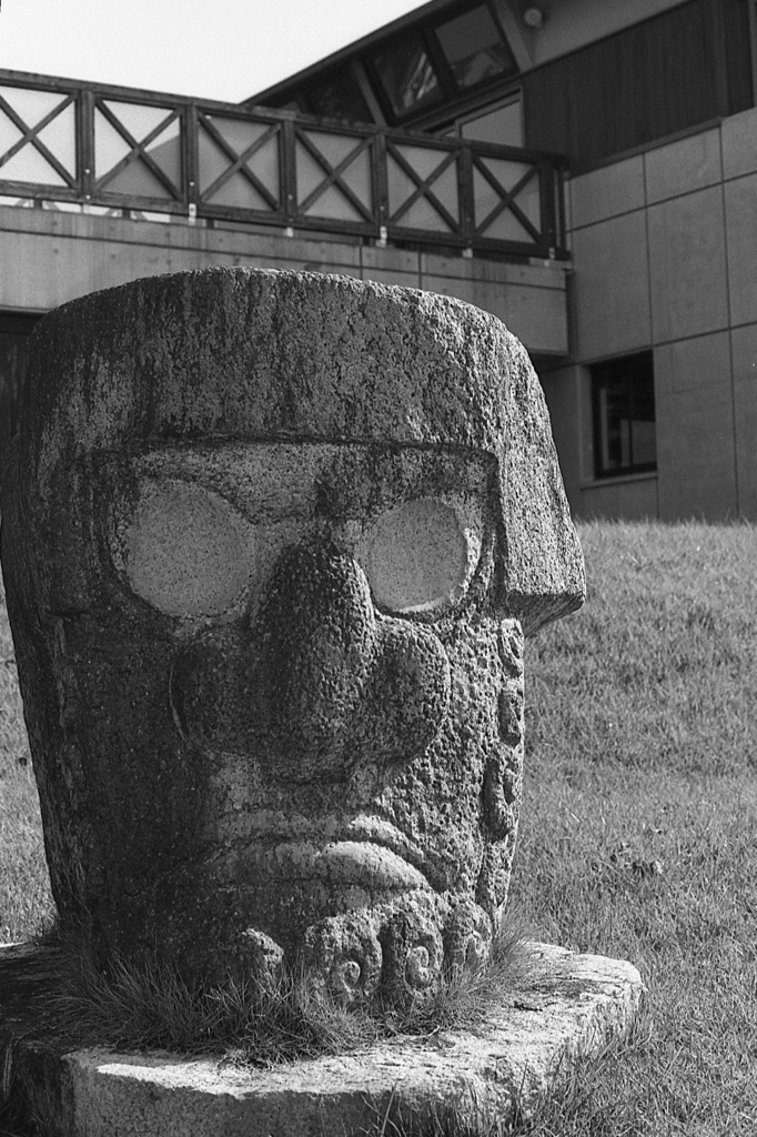 「Face」 (film)