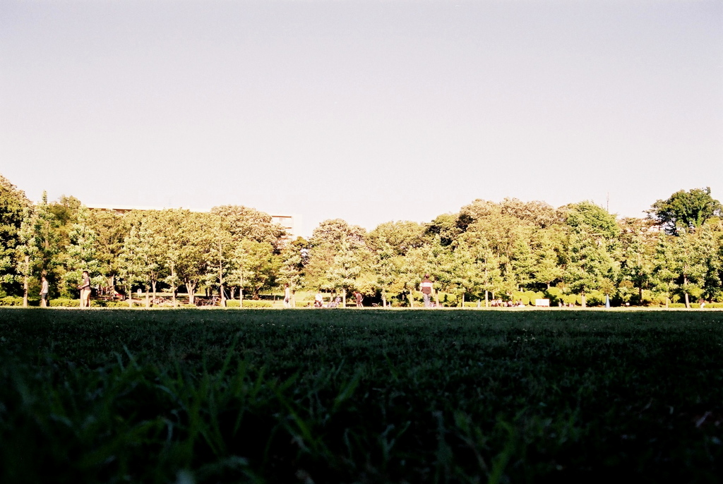 「Light & Shadow 04」 (film)