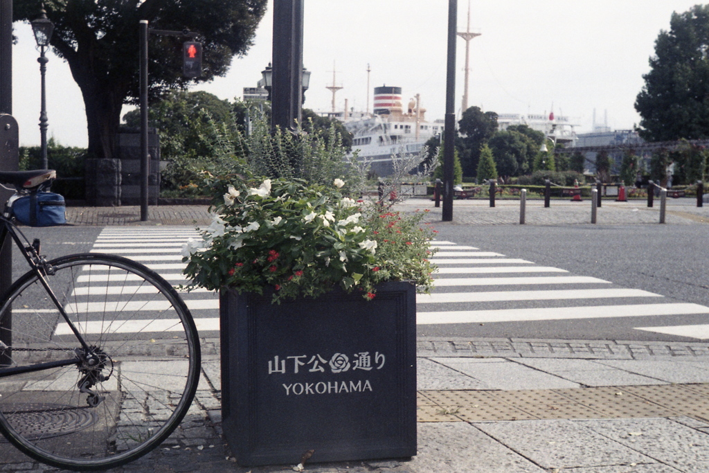 「山下公園通り」 (film)