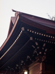 「横浜 根岸 八幡神社」 (film)