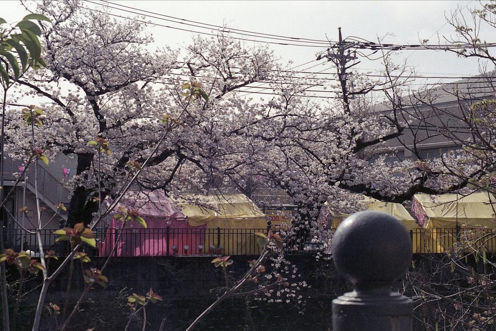 「Spring One Roll: 16」 (film)