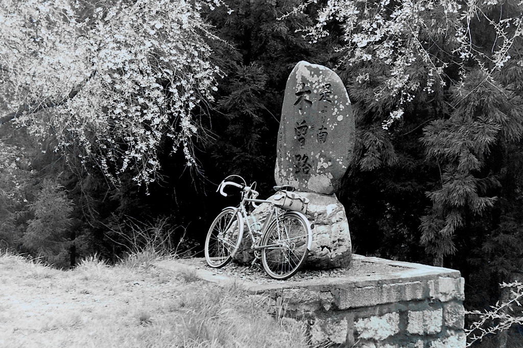 「自転車旅08」 (film)