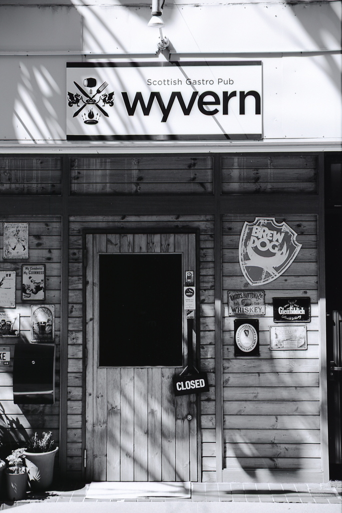 「wyvern」 (film:HR20)