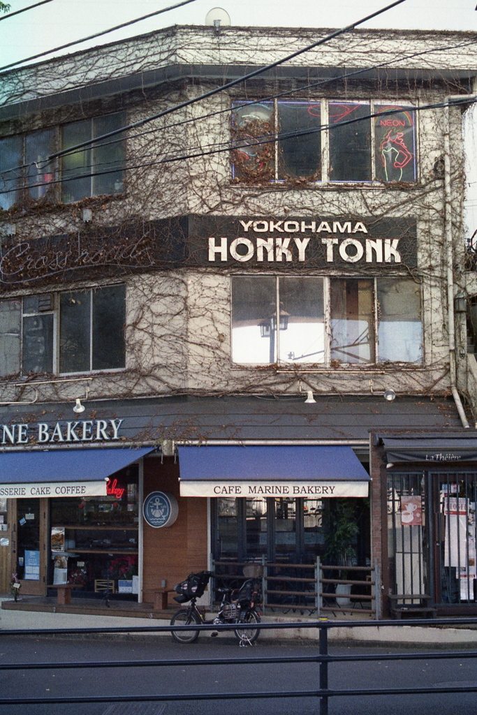 「Honky Tonk」 (film)