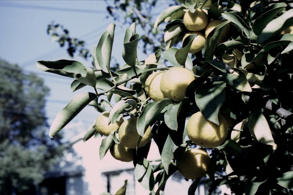 「街角」 (film)